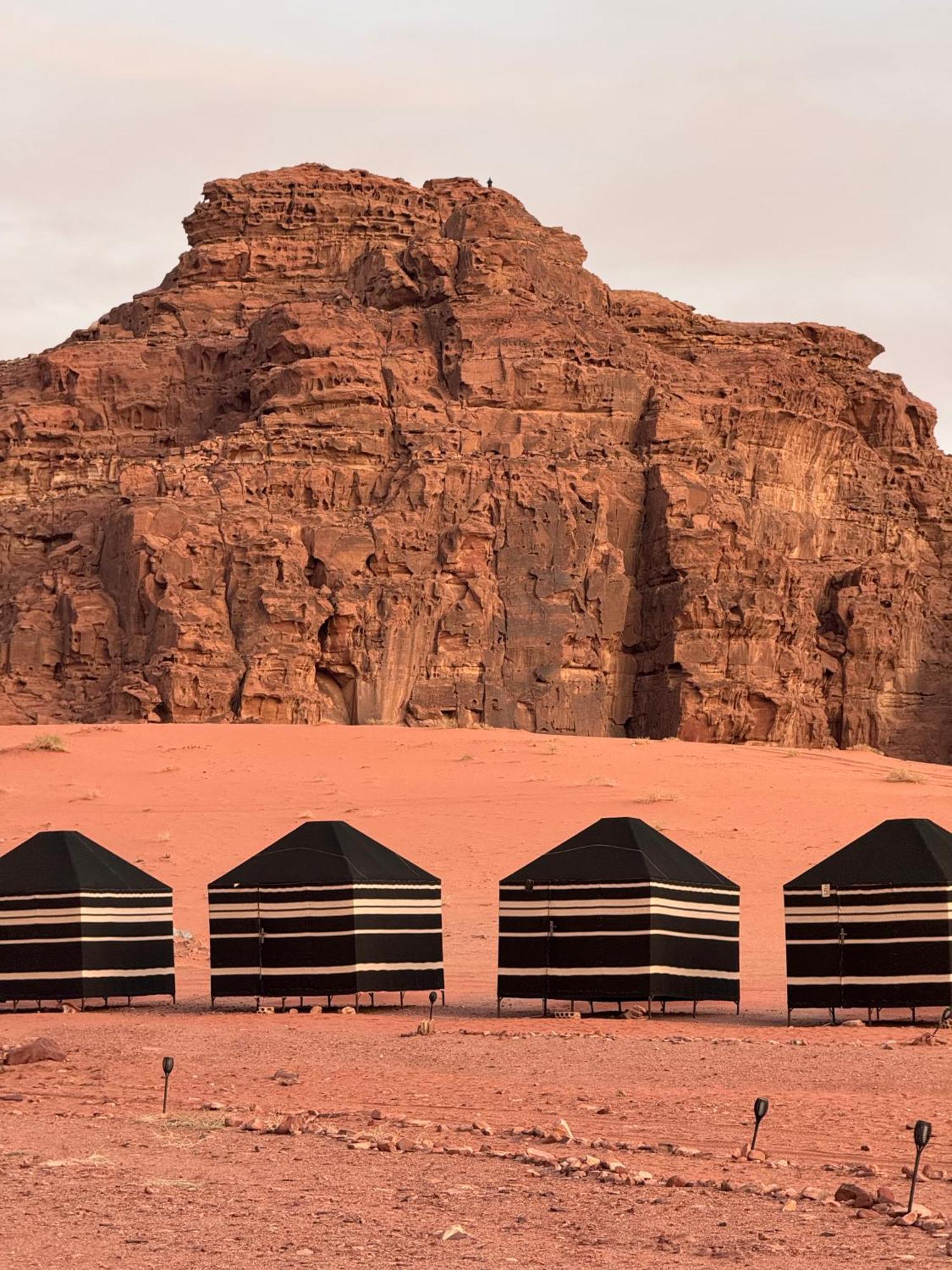 Desert Bird Camp Wadi Rum Eksteriør bilde