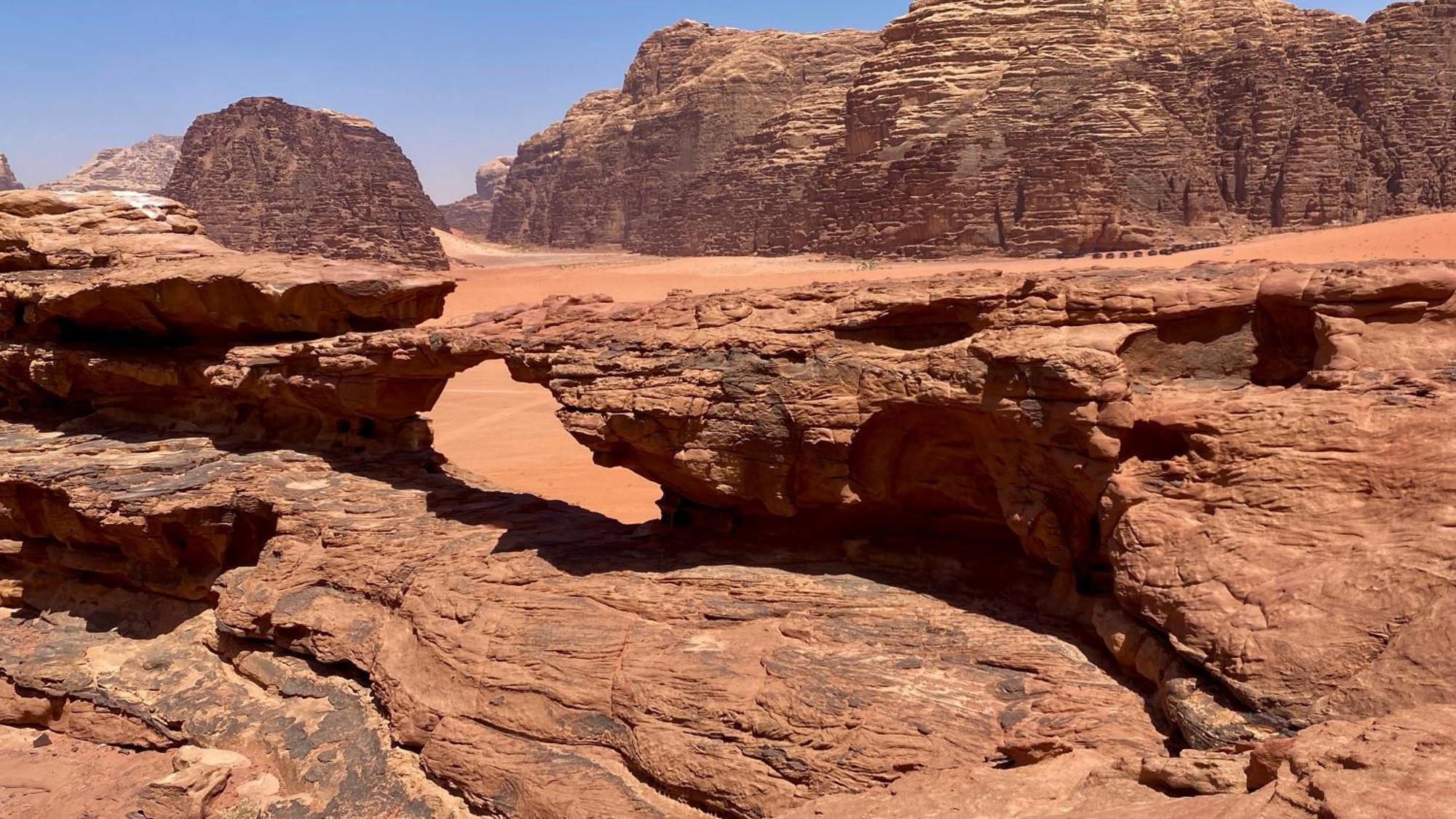 Desert Bird Camp Wadi Rum Eksteriør bilde
