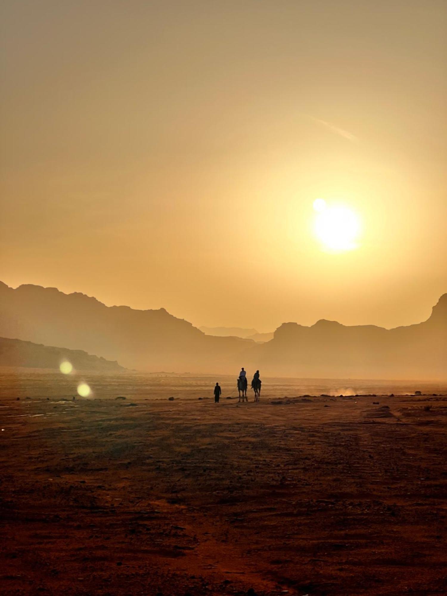 Desert Bird Camp Wadi Rum Eksteriør bilde