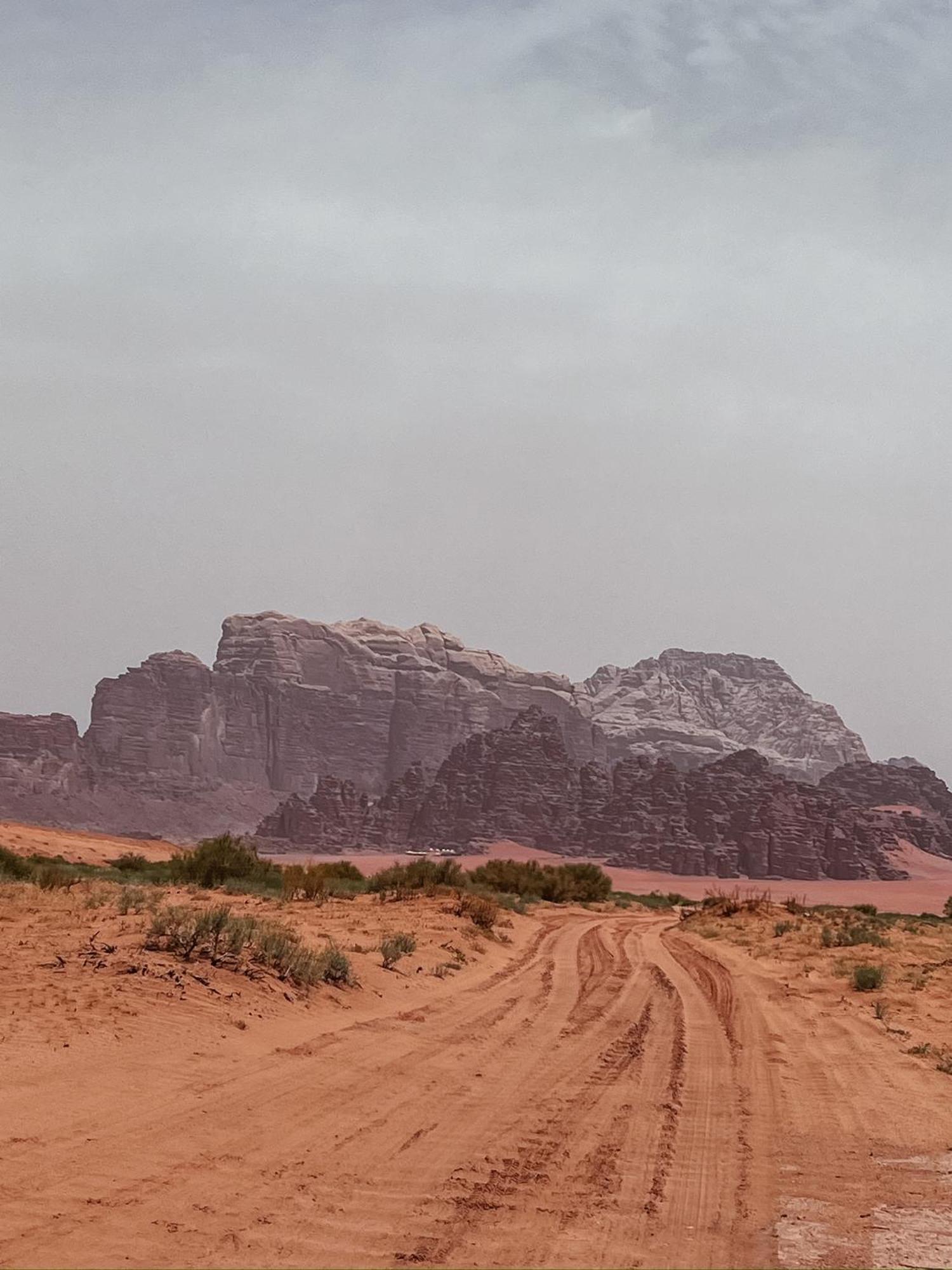 Desert Bird Camp Wadi Rum Eksteriør bilde