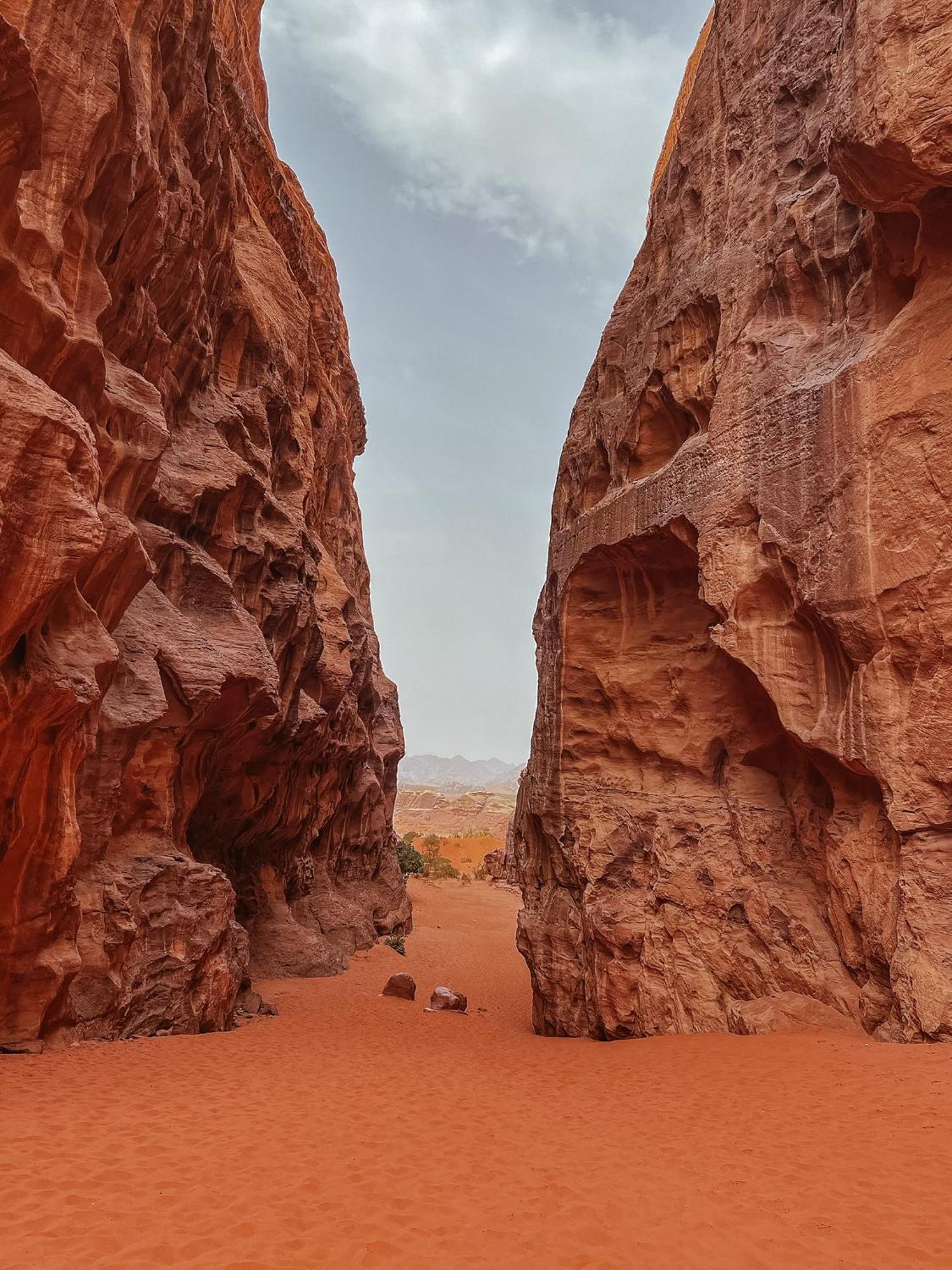 Desert Bird Camp Wadi Rum Eksteriør bilde