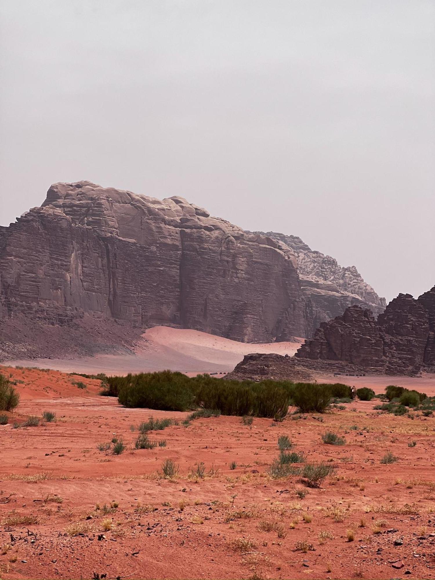 Desert Bird Camp Wadi Rum Eksteriør bilde
