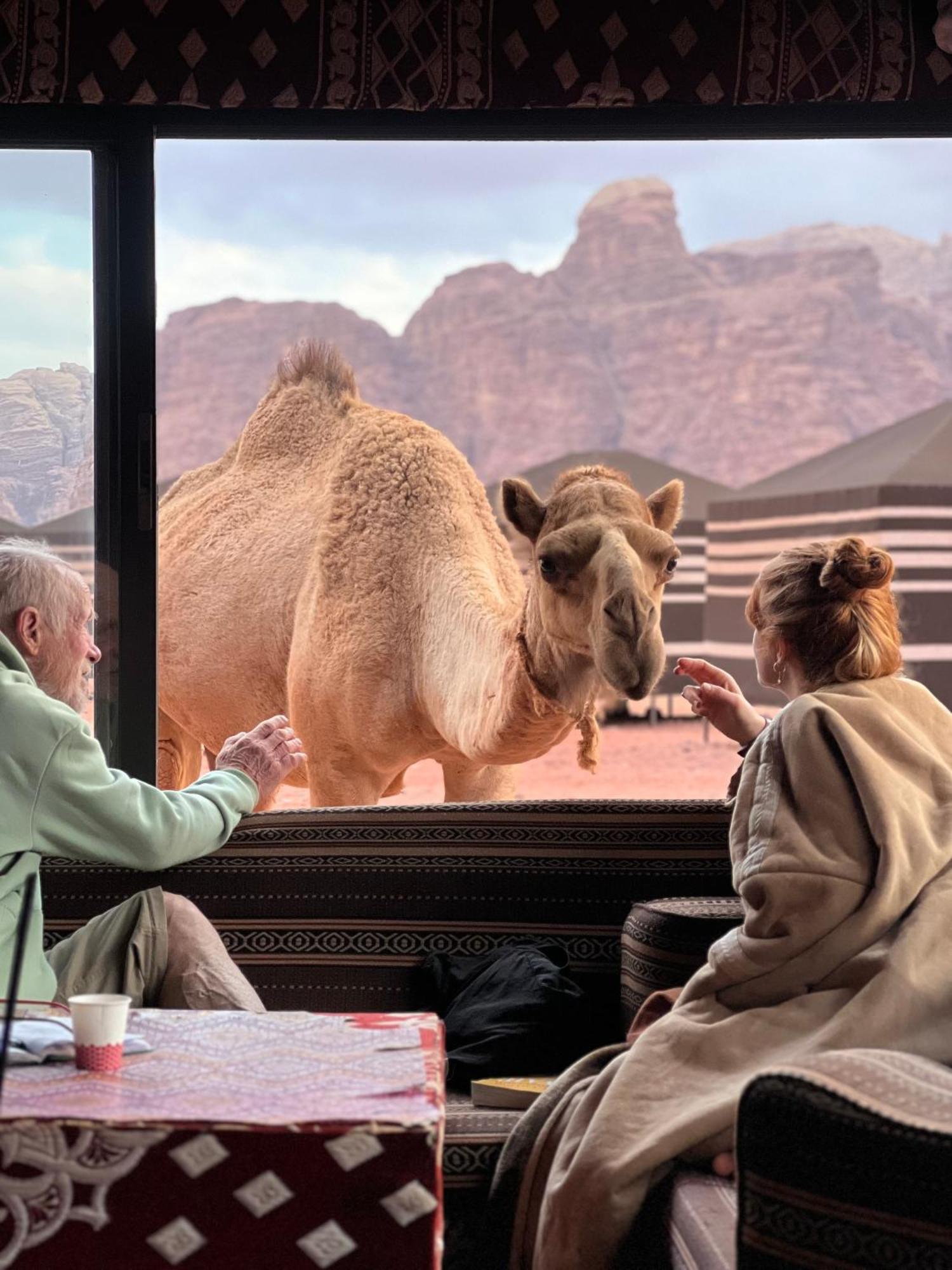 Desert Bird Camp Wadi Rum Eksteriør bilde